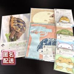 一番くじ 爬虫類＆両生類　F賞/G賞/H賞/I賞 7点セット