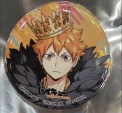 ハイキュー fan park ファンパーク ハイドリ 缶バッジ 日向翔陽