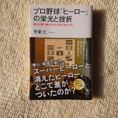 プロ野球「ヒーロー」の栄光と挫折 : 彼らは夢の舞台の先に何を見たのかのサムネイル