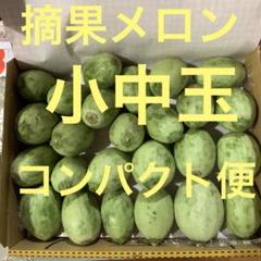 『野菜栽培の新技術 ③ ハウスメロン 生理と栽培技術』 平林哲夫 誠文堂新光社 野菜栽培の新技術 ③ ハウスメロン 生理と栽培技術』 平林哲夫