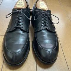 Alden vチップ 6.5D カーフ　54312のサムネイル