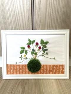 青木和子　刺繍　完成品　「苔玉」　バラの咲く庭