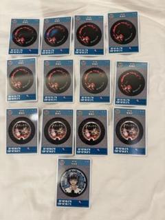 マンホールカード13枚セット