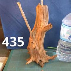 80cm美形特大流木ブランチウッドNo.280