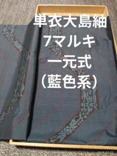 本場大島紬　単衣　7マルキ　藍色系　壁画調文様　正絹