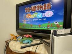 牧場物語 しあわせの詩　ゲームキューブ　起動確認済み