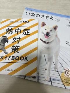 いぬのきもち⭐︎2021年1月から11月分⭐︎まとめ売り⭐︎ いぬのきもち 2025年1月〜6月号 6冊セット - メルカリ
