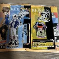 家庭教師ヒットマンreborn アクリルフィギュア&チャーム