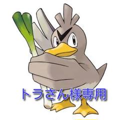 トラさん専用 ACアダプター