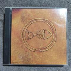 fishbone 101Nuttasaurusmeg Fossil 2枚組 ⑭
