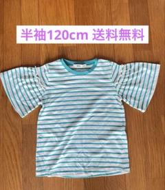 MPS フリル袖 Tシャツ 120cm