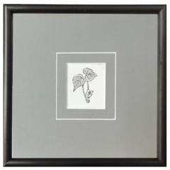【即納】 ☆坂本直行☆「カンアオイ」肉筆 単色水彩画 小作品20角額 未 絵画