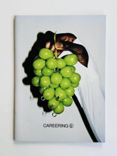 【希少本】CAREERING / 小浪次郎