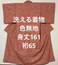 スモールサイズ 色無地 飾り紋 鳳凰の刺繍 ベージュ 正絹 正絹