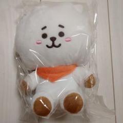 BT21 LINEFRIENDS BASIC PLUSH М RJ