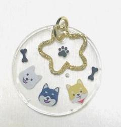 【No.64】トリオわんこ　星願い　レジン　たチャーム