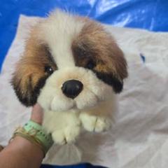 新品未使用 タグ付き オリエンタルトーイ チャイルドバーナード 犬 ぬいぐるみ Amazon.co.jp: タグ オリエンタルトーイ チャイルドバーナード