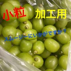 シャインマスカット 粒 加工用 箱込み1キロ