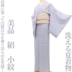 美品未着用 夏着物 正絹 絽“飾り立てない洒落味で仕上げる夏！”色無地W-93 美品未着用 夏着物 正絹 絽“飾り立てない洒落味で仕上げる夏