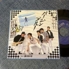 SALLY THE BEST レコード 帯付 【特価】中古 2025年最新】sally バージンブルーの人気アイテム - メルカリ