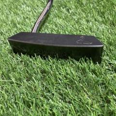 Amazon.com : Ray Cook Golf Blue Goose 2.0 BG40 Putter 34
