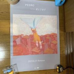 2025年最新】pedro ポスターの人気アイテム - メルカリ