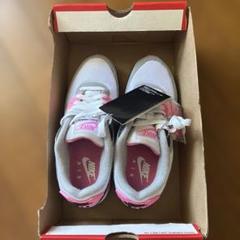 Nike Air Max CD0490-102 スニーカー US 7