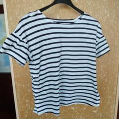 ワコール　マタニティ　Tシャツ　サイズM