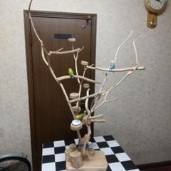 マロインコアスレチックジムツリー 🦜 ◇◇◇ Gallery ◇◇◇ いままでに作った作品です