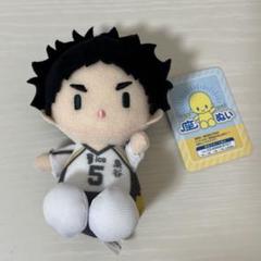 ハイキュー!! 赤葦京治 座ぬい