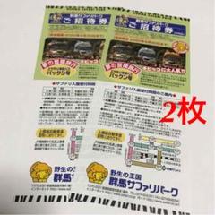 群馬サファリパーク ご招待券 2枚