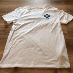 nikesb ナイキ Tシャツ