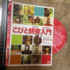 USED　こびとづかん　DVD ４点セット　かくれももじり　レンタル落ち 2025年最新】カクレモモジリ dvdの人気アイテム - メルカリ