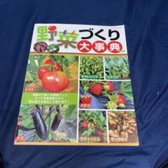 野菜づくり大事典 地植えで楽しむ野菜づくりすべて写真解説だから、初心者でも安心…のサムネイル