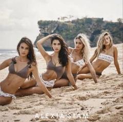 ALEXA STAM セパレート水着 ブラウン・ホワイト ALEXA STAM セパレート水着 ブラウン・ホワイト