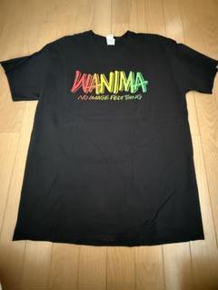 WANIMA ビルボード　アコースティックLIVE限定Tシャツ　Lサイズ WANIMA ビルボード アコースティックLIVE限定Tシャツ Lサイズ