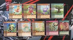 遊戯王ラッシュデュエル ベリーフレッシュ デッキパーツ - メルカリ