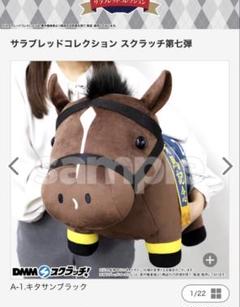 2025年最新】サラブレッドコレクション dmm a賞の人気アイテム