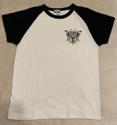 【ラグラン】 ZIGGY 【半袖Tシャツ】