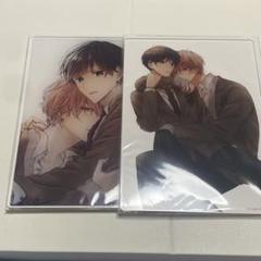 ピットスポルム アクリルボード