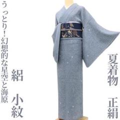 美品 夏着物 正絹 絽“波紋のような鮫にメダカ☆粋に涼を打つ夏姿”小紋B-85 未着用 絽 椿 夏着物“花景に我が身を重ねて思いを綴る人それぞれ