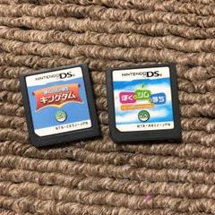 ぼくとシムのまち DSカセット