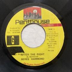 Beres Hammond - Soul Reggae(LP レコード) - レゲエレコード