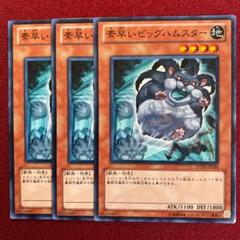 遊戯王 素早いビッグハムスター 英語 2枚セット 素早いビッグハムスター | カード詳細 | 遊戯王ニューロン