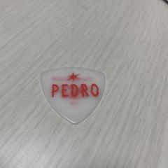 PEDRO グッズまとめ売り 在庫限り廃番] プリントスター 5.6オンス ヘビーウェイト