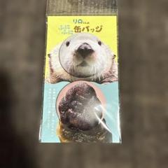 2025年最新】ラッコのリロくんの人気アイテム - メルカリ
