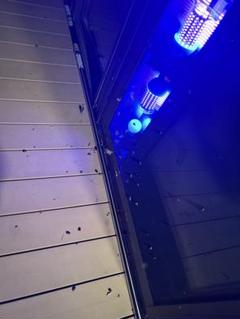 灯火採集　ライトトラップ　紫外線放出加工済　HID75W 三脚付　８mシガー電源 HID 7インチ 55w ライトトラップ 12vシガーソケット 三脚付き 5m