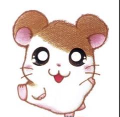 専用