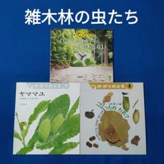 かがくのとも　雑木林の虫たち　ヤママユ　ナナフシ　チョウの幼虫　福音館 かがくのとも雑木林のむしたちヤママユハンミョウ虫のおうち福音館