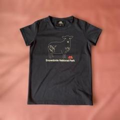 新品未使用!MOUNTAIN EQUIPMENT半袖シャツM 楽天市場】mountain equipment シャツ（カジュアルシャツ